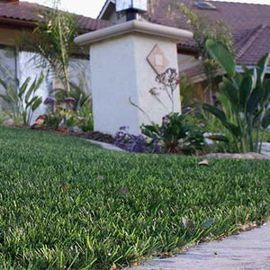 How to Treat Weeds in Artificial Grass and Pavers by Stephanie Rogers