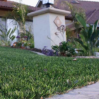 How to Treat Weeds in Artificial Grass and Pavers by Stephanie Rogers - Chapin International